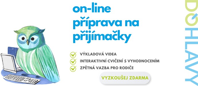 prijimacky-priprava-dohlavy-5